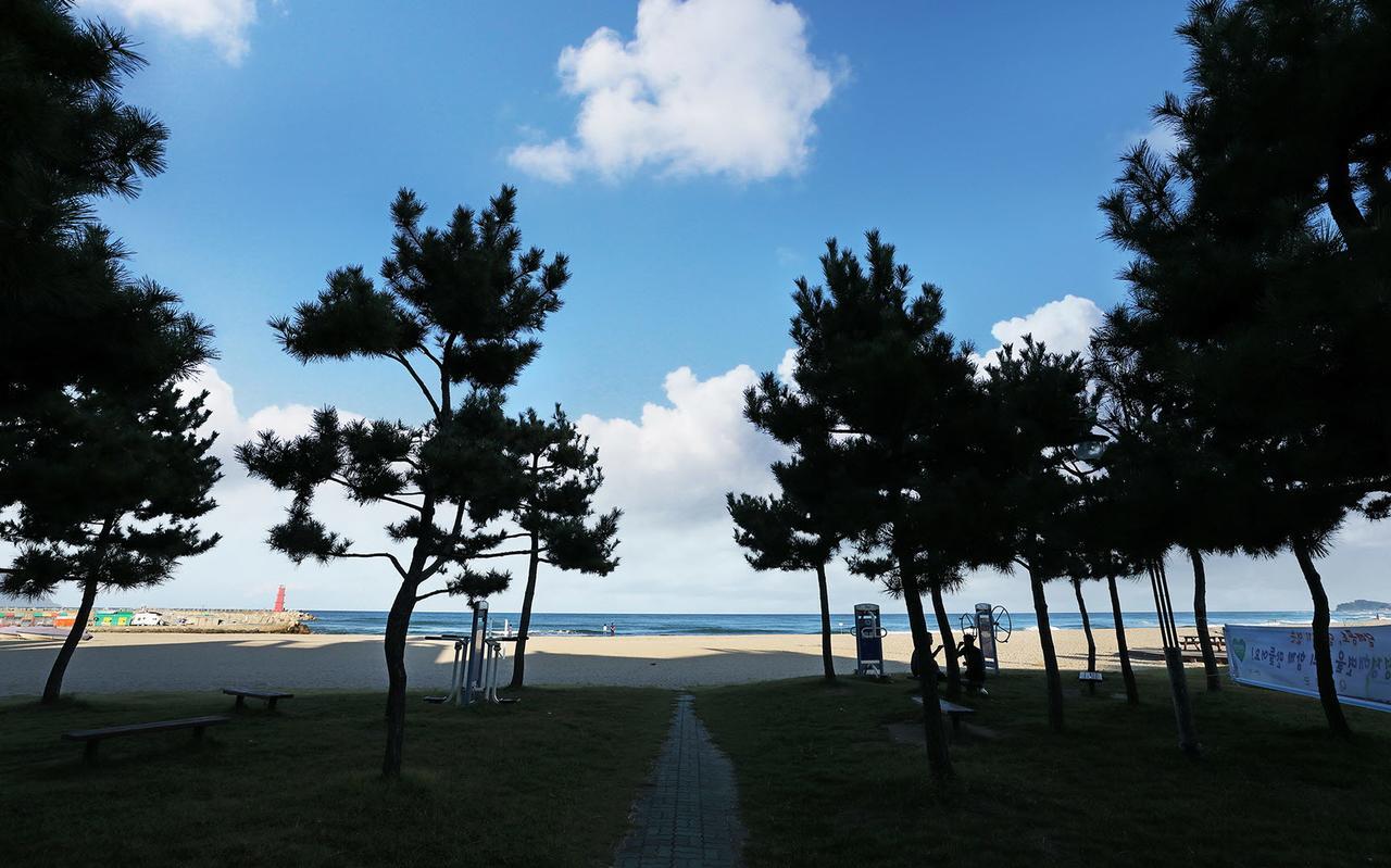Naksan World Beach Yangyang Eksteriør billede
